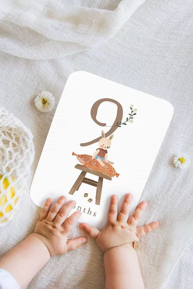 Louise Misha Cartes Etapes Cotton Bird (Version Anglaise)^ Cotton Bird X Lm
